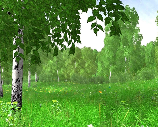 http://img3.imgbb.ru/2/3/9/239f0ae7b024fbfa6ba35f927ca47ac4.jpg
