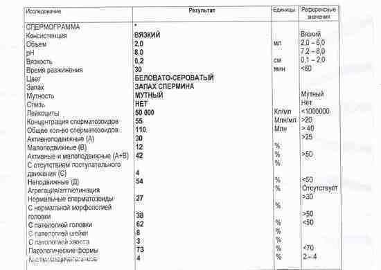какие лучшие позы чтобы забеременеть картинки