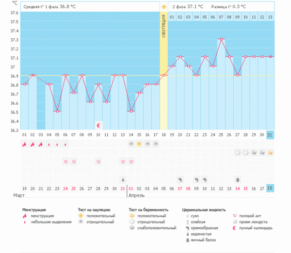 Ура! Мой график беременный! - Графики базальной температуры