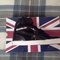 Кроссовки reebok SL 7500 black
