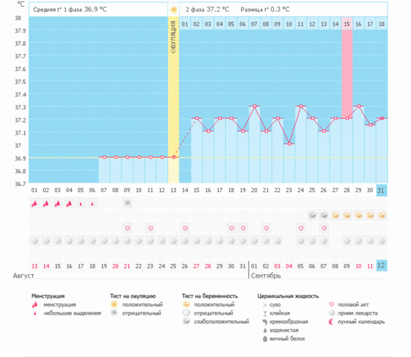 Ура! Мой график беременный! - Графики базальной температуры