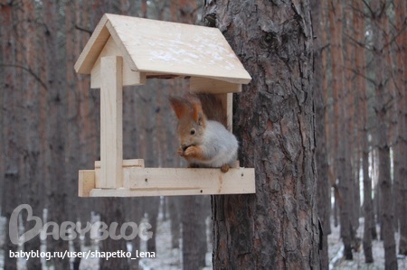 Домик для белки в парк своими руками 51