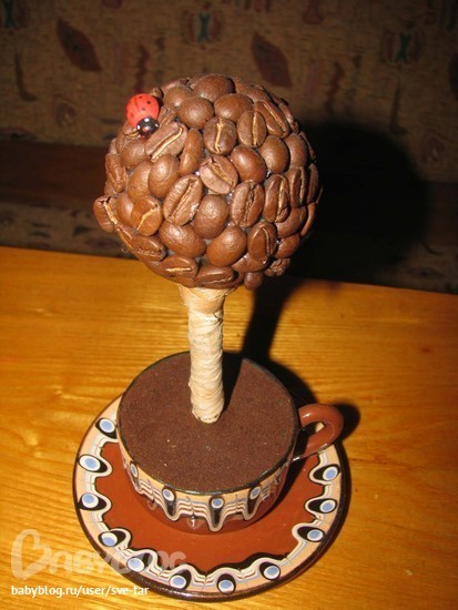 Кофейное дерево в кружке