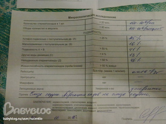 порно видео