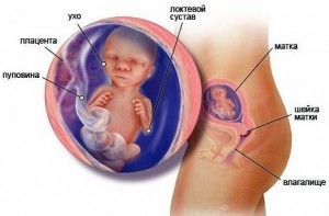 Как очистить от накипи чайник 7 способов в домашних условиях 24 Как очистить от накипи чайник 7 способов в домашних условиях 76