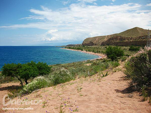 каджи сай иссык-куль киргизия. поселок куль. каджисай поселок иссык куль. банное озеро башкортостан. озеро банное абзелиловский район.