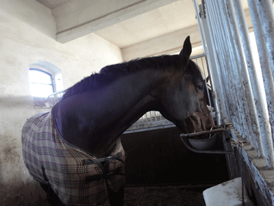 01f8352b9254e99f5be1c9316be48c51.gif