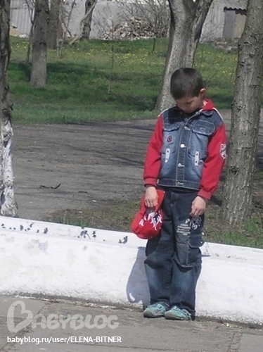 Картинка