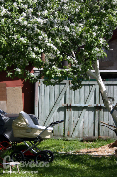 Давно собиралась и вот решилась, может кому-то будет полезен мой опыт использования :)