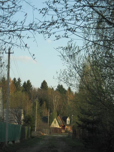 06384716fd25db70f3c4c16a754ca37a.jpg