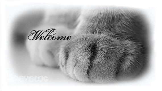 Добро пожаловать! Или напиши пару строк и о себе!