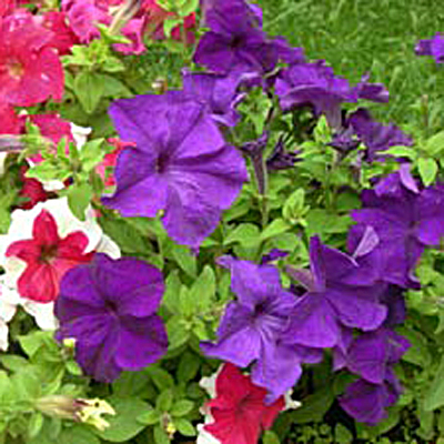 0f6c8a43b80c3720f419906892b3708a.jpg
