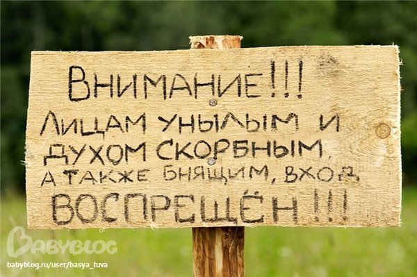 12594eca972faedebebfa53d39c9fcfe.jpg