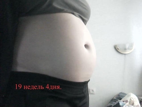 Беременность на 20 неделе живот фото
