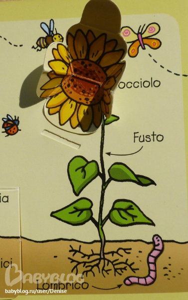 Наука для самых маленьких