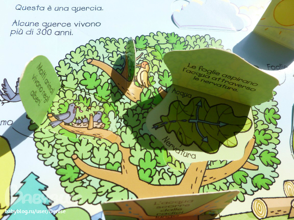 Наука для самых маленьких