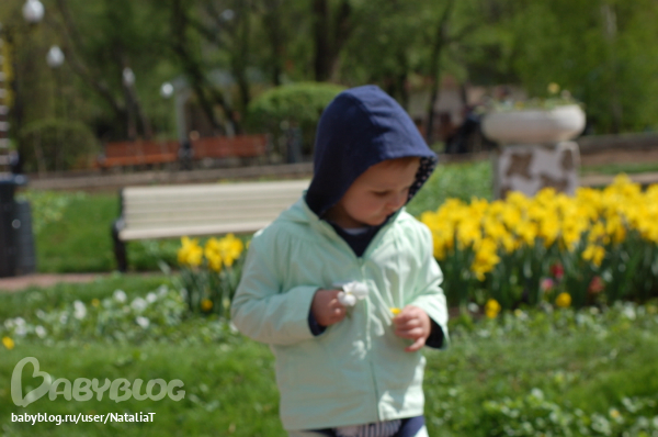 181d9feebf8bc5b521bbc1156147e3ca.jpg