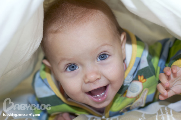 Освоили диван.