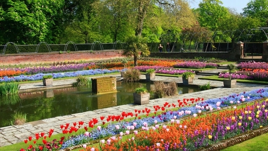 http://img3.imgbb.ru/1/d/7/1d7a562e37723d5c44a394a30505f46c.jpg