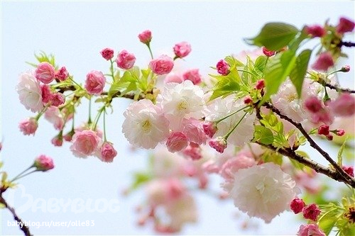 1ea61409bc968dcd78998bcd595c829c.jpg