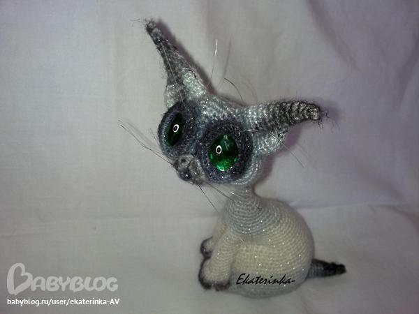 Мой сиамский котик