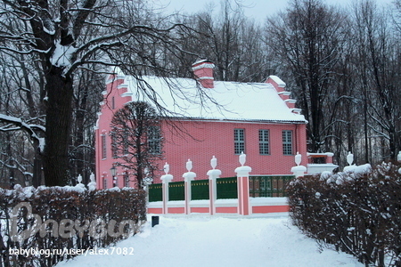 21021893253adc75ed6d179e00163865.jpg?450