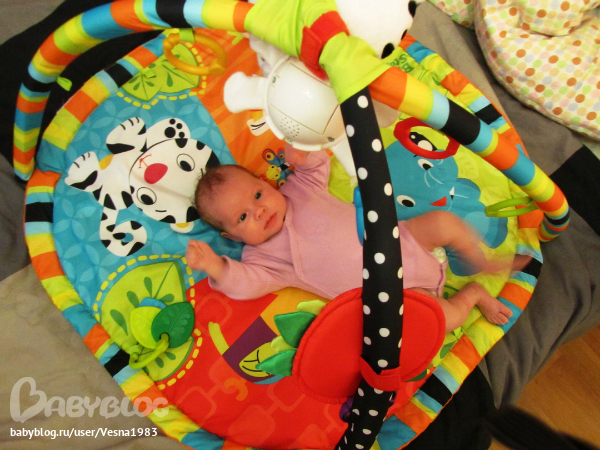 Девайсы в жизни Алисы