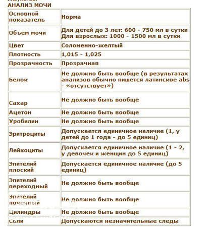 Причины повышения лейкоцитов в моче у женщин — АнализыТУТ