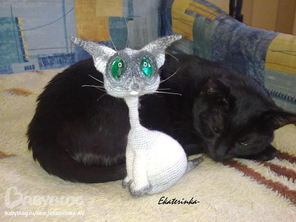 Мой сиамский котик