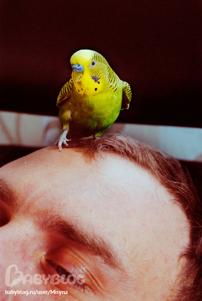 Знакомство, с еще одним.... обитателем нашего дома