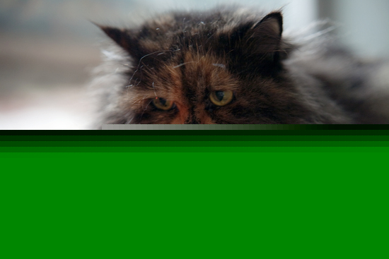 3141ebf8b7145c0f6cbe6d2bfbe9b458.jpg