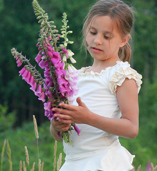 33d3d2adfa030405a55fe758773212dc.jpg