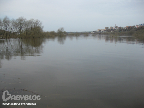 Весенние денёчки.