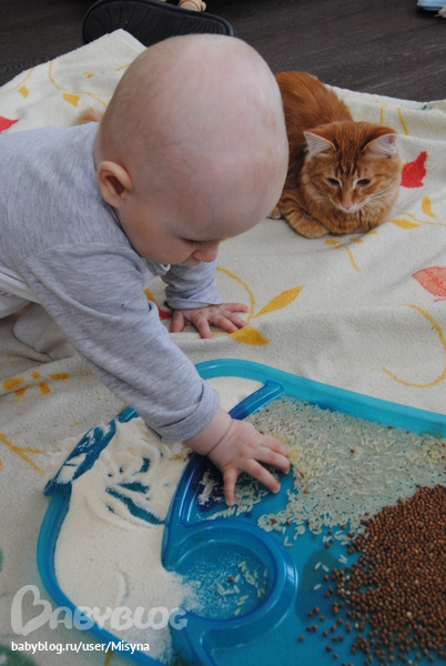 Развиваем мелкую моторику