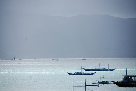 416a8bf74aa54fa0357bb9576ca69436.jpg?450