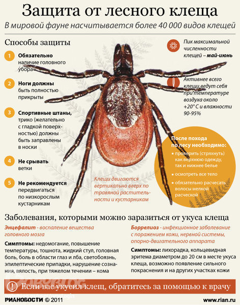 Клещи. Уже актуально.