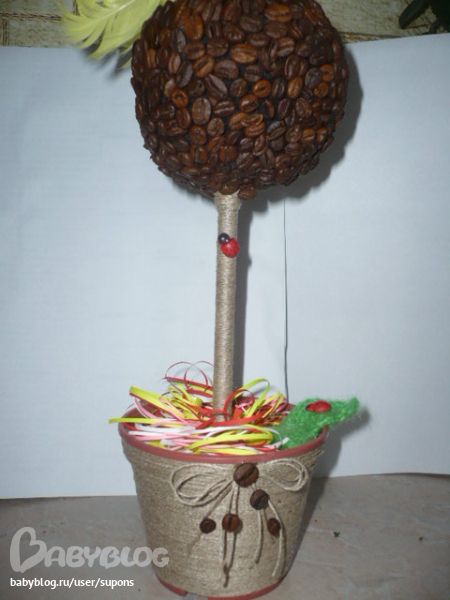 Ох уж эти кофейные деревья!