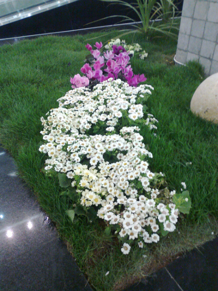 441eaff88b839947568891b4962b9cb3.jpg