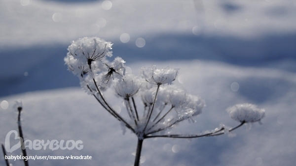 Фотошоп и неумелые ручки))))
