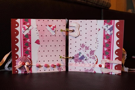 49fa30c1c2ed5b0a1f44e42249a9069d.jpg?450