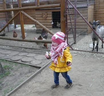 Яхонты (подмосковье)