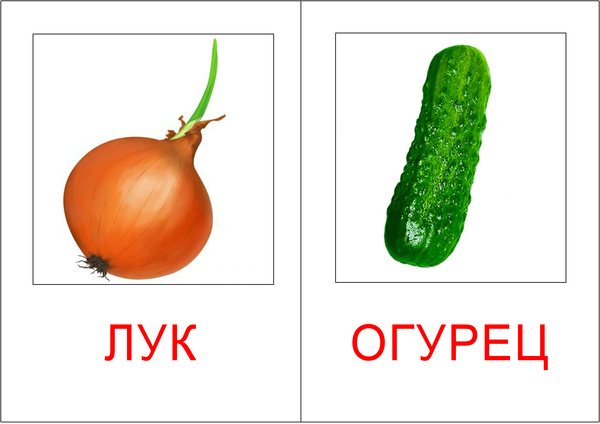 Овощи картинки для детей цветные распечатать Карточки для ребенка (типа Домана) форум Babyblog