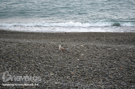 Урок № 5. Корректируем тона при помощи уровней