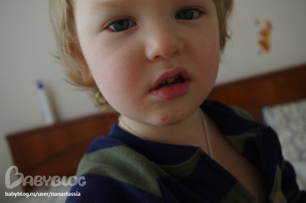 5ce2a77a66174b01fbd0967aaca48cb9.jpg