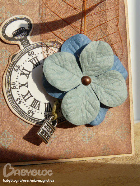 Последние открыточки