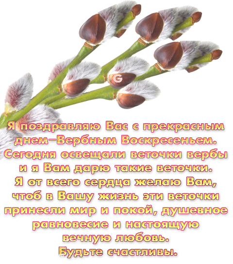 Желание на вербное воскресенье. С Вербным воскресеньем. Вербное воскресенье поздравления. Поздравить с Вербным воскресеньем. Веточка вербы с пожеланиями.