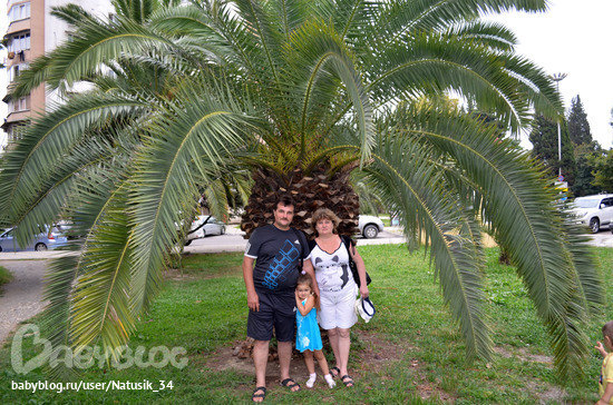 Урок № 5. Корректируем тона при помощи уровней