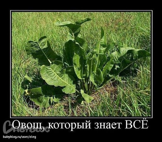 66b3c7583c02eb45f5b7251b87d811bc.jpg