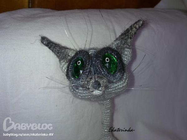 Мой сиамский котик