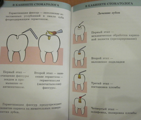 Стоматология энциклопедия для детей